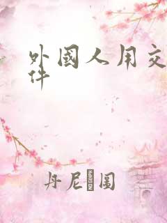 外国人用交友软件