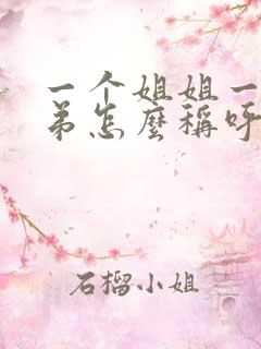 一个姐姐一个弟弟怎么称呼