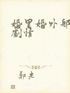 婚里婚外那些事剧情