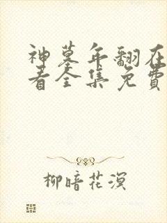 神墓年翻在线观看全集免费观看动漫