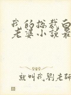 我的总裁白富美老婆小说最新章节列表免费