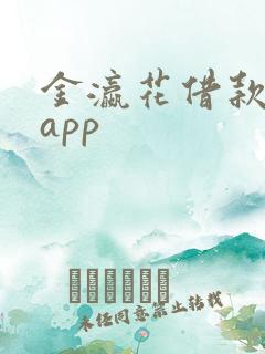 金瀛花借款下载app