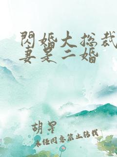 闪婚大总裁:娇妻是二婚