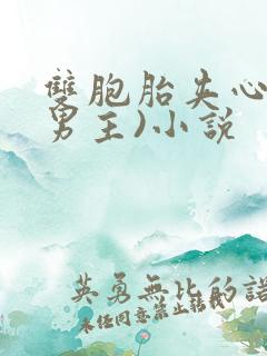 双胞胎夹心(双男主)小说