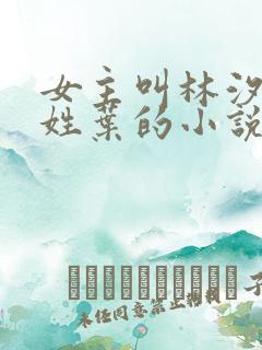 女主叫林汐男主姓叶的小说