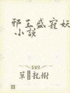 邪王盛宠妖孽妃 小说