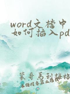 word文档中如何插入pdf文件