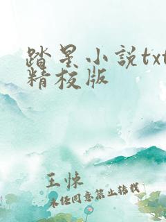 踏星小说txt精校版