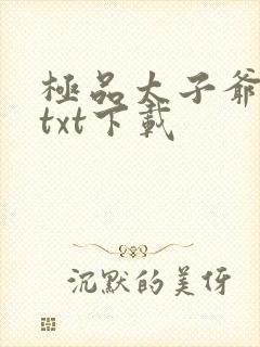 极品太子爷完本txt下载