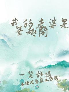 我的老婆是天后 笔趣阁