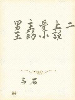 男主爱上二婚女主的小说