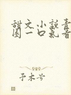 甜文小说青春校园一口气看完