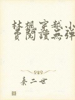 林枫穿越小说免费阅读无弹窗