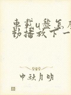 车载u盘怎么自动播放下一曲