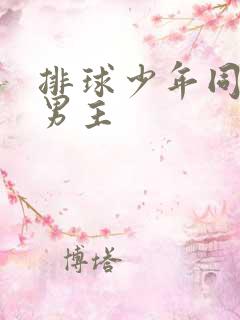 排球少年同人文男主