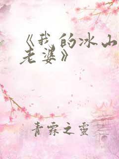 《我的冰山总裁老婆》