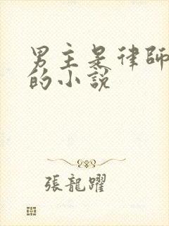 男主是律师姓顾的小说