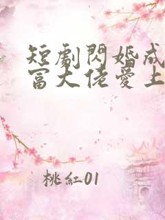 短剧闪婚成宠首富大佬爱上我第11集