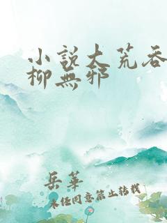 小说大荒吞天诀柳无邪