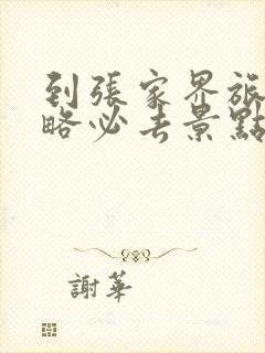 到张家界旅游攻略必去景点