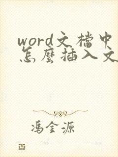 word文档中怎么插入文件