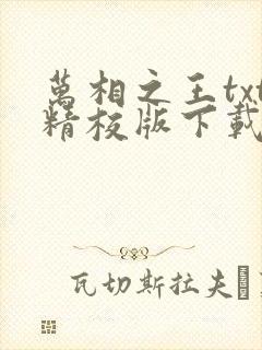 万相之王txt精校版下载