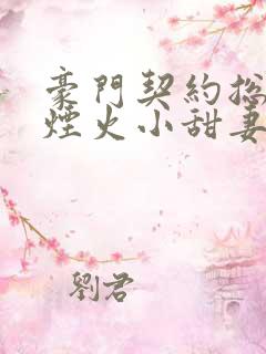 豪门契约总裁的烟火小甜妻小说