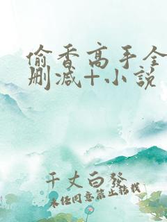 偷香高手全文无删减+小说