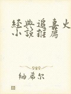 经典追妻火葬场小说推荐