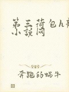 第三荷包h辣文小说网