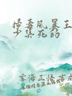 扫毒风暴王林多少集死的