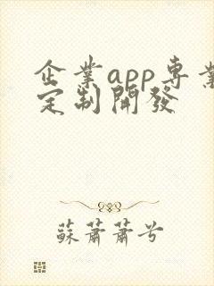 企业app专业定制开发