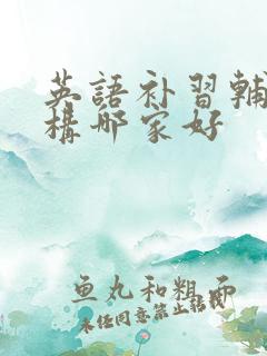 英语补习辅导机构哪家好