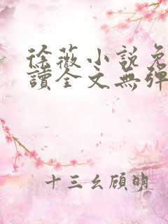 徐薇小说免费阅读全文无弹窗