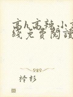 高h高辣小说在线免费阅读