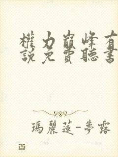 权力巅峰有声小说免费听书