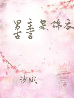 男主是锦衣卫的古言