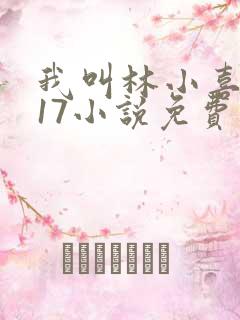 我叫林小喜今年17小说免费看