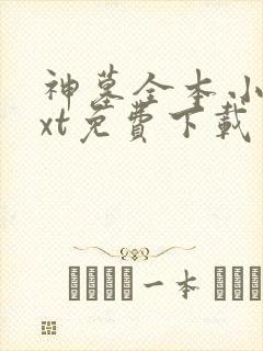 神墓全本小说txt免费下载