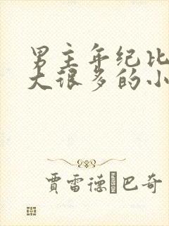 男主年纪比女主大很多的小说