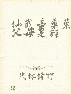 仙武帝尊叶辰的父母是谁