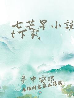 七芒星小说txt下载