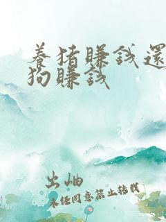 养猪赚钱还是养狗赚钱