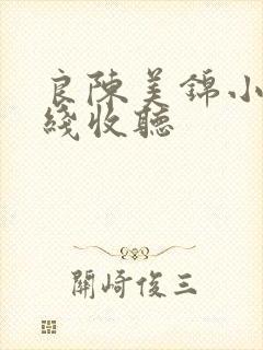 良陈美锦小说在线收听