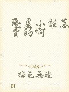 飞卢小说怎么收费的啊