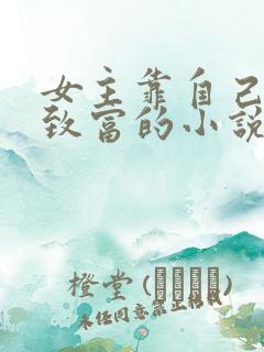 女主靠自己发家致富的小说