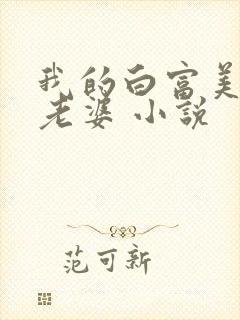 我的白富美总裁老婆 小说