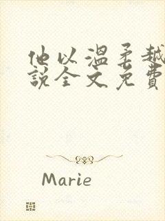 他以温柔越界小说全文免费阅读