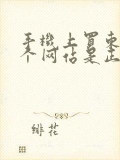 手机上买东西哪个网站是正品