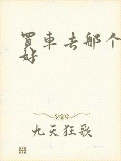 买车去那个网站好